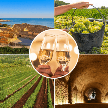 Tarragona Wineries Tours