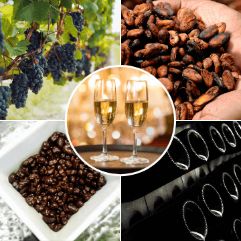 Chocolate Wine Tours from Barcelona
