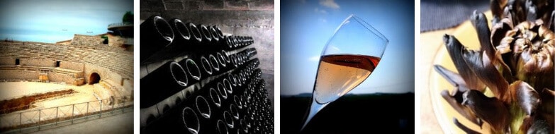 Highlights of our Tarragona Wine Tours