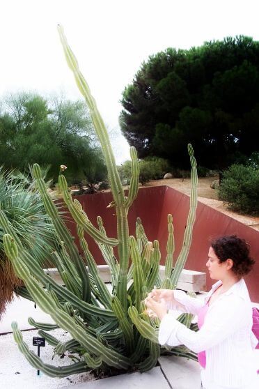Guide giving explanations on a botanical tour in Barcelona