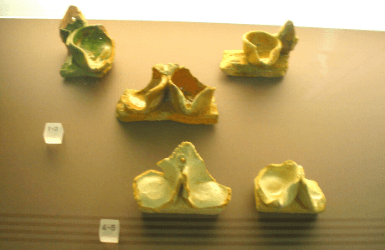 Jewish ceramic in a Barcelona museum