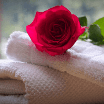 Rose and towels in the room of one of the green hotels in Barcelona