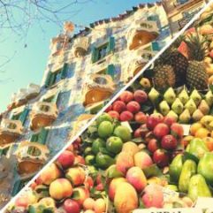 Moments of our walking tour of Barcelona including La Boqueria Food Market
